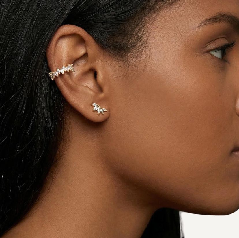 Piercing Lotus Zircon