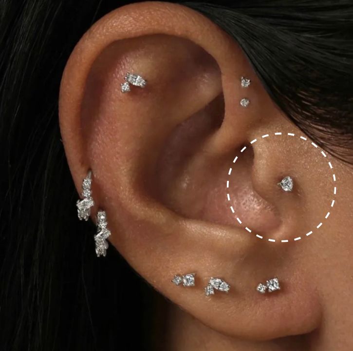 Pourquoi le titane ASTM-F136 est-il le matériau idéal pour le piercing du tragus en 2026