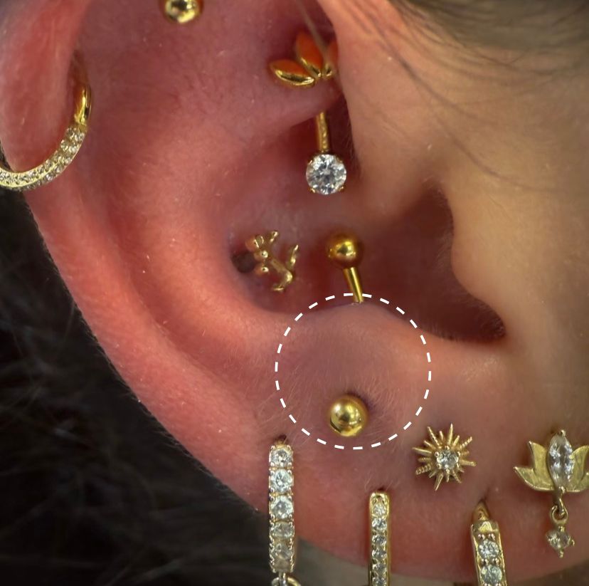 Emplacement, douleur et soins du piercing anti-tragus