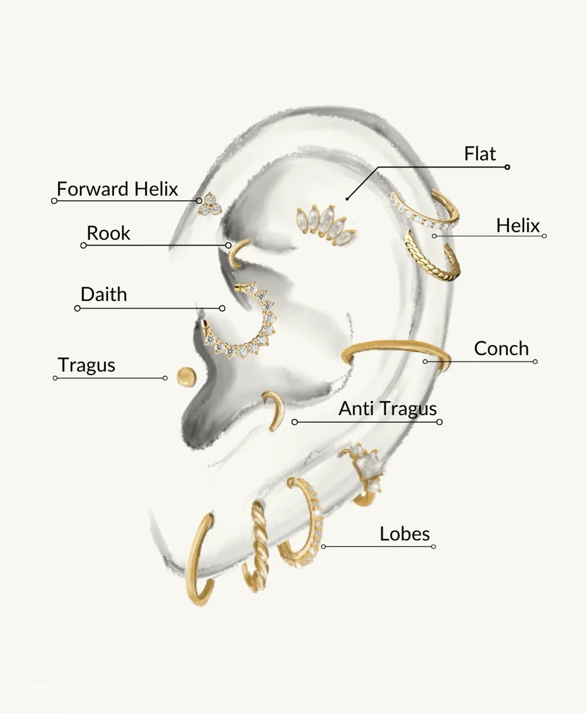 Piercing Snug vs Piercing Conch : le guide ultime pour faire le bon choix