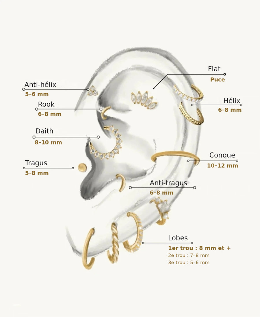 Schéma des piercings d'oreille avec les tailles recommandées